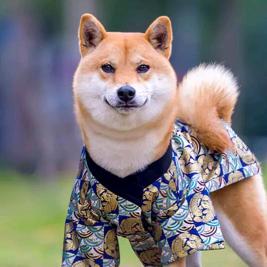 小群