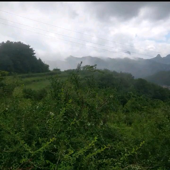 蒙A哥烤全羊