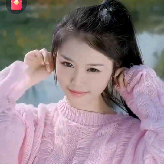 小鸟伊人