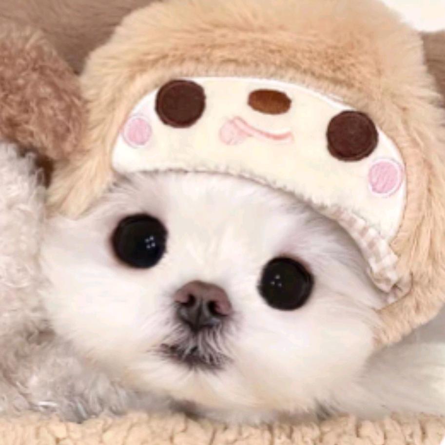 无敌霹雳饿死了