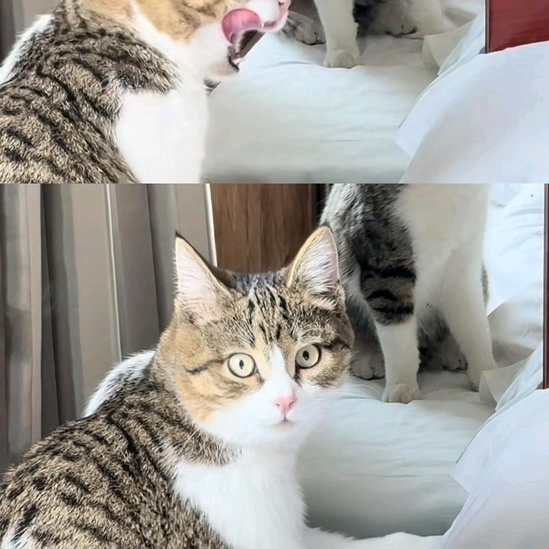 臭小子，玩够了该回来了啊