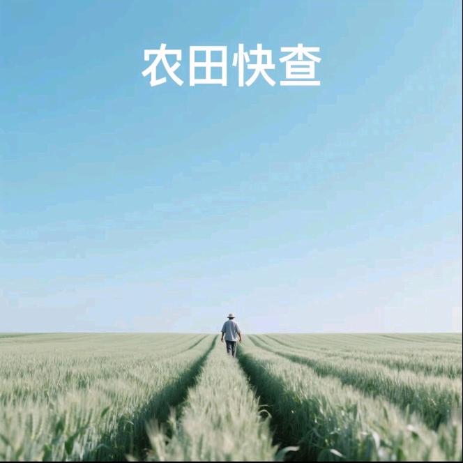 唐主任地块查询