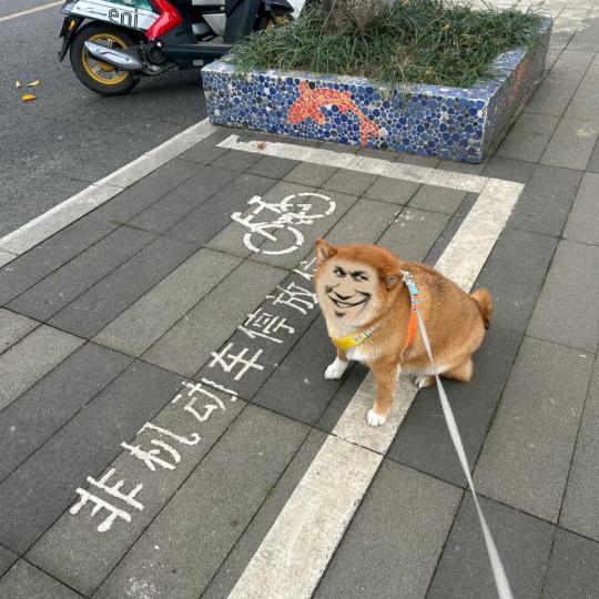 哟西