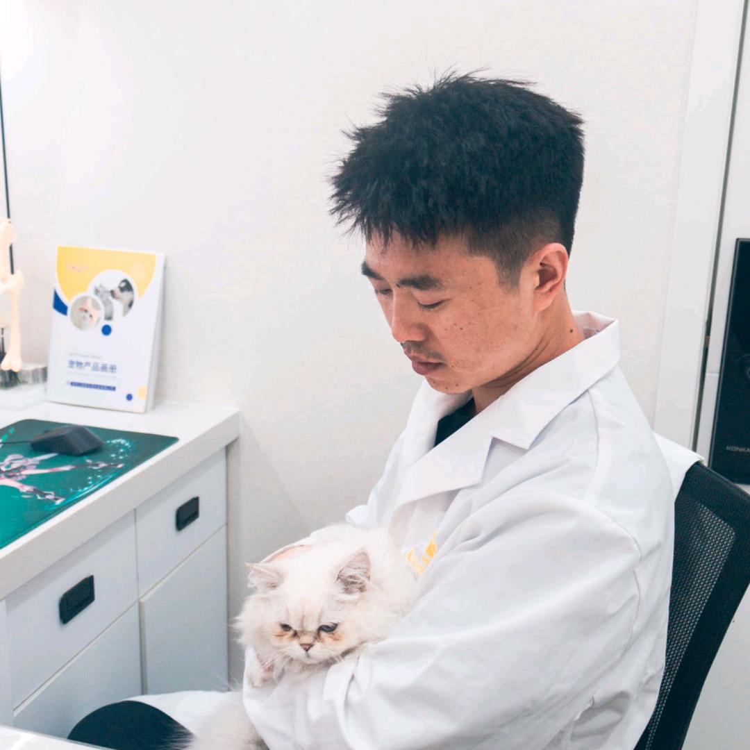 郑州宠医杨斌