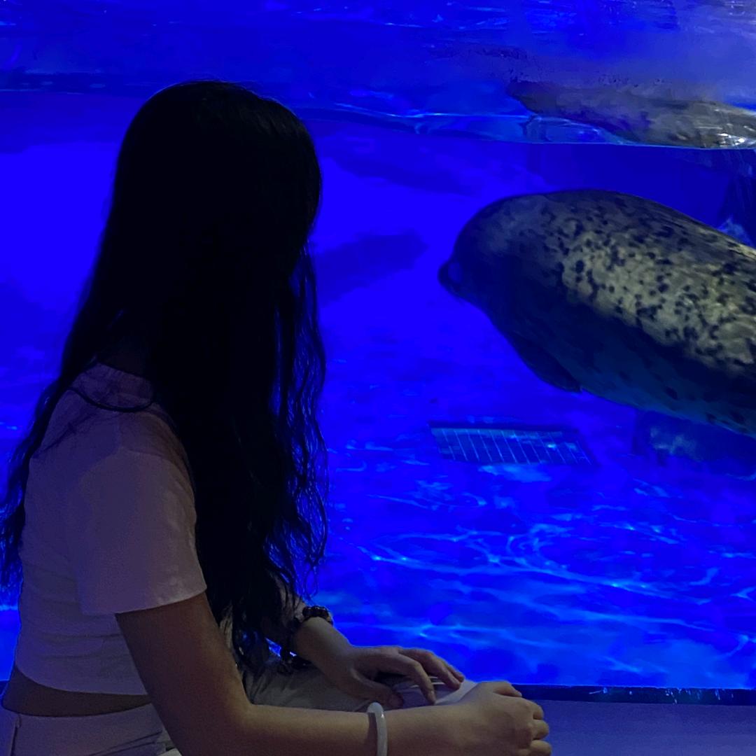 吃土豆长大的马铃薯🥔