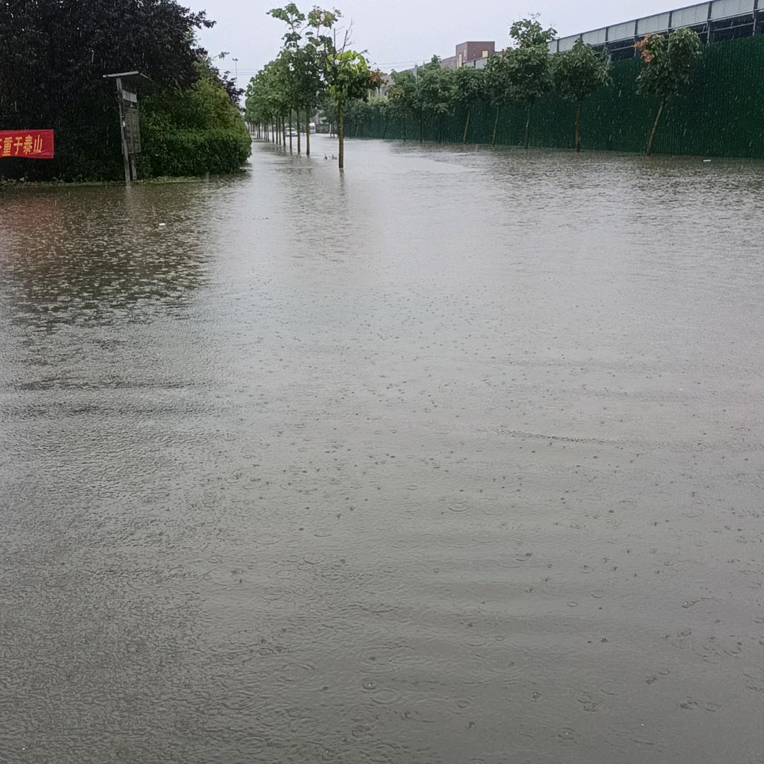 鱼的第八秒记忆