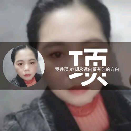 小项