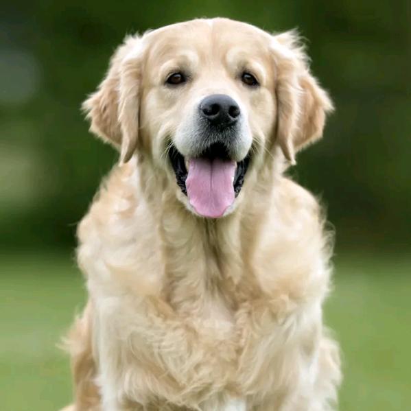 天不怕地不怕，就怕主播没文化