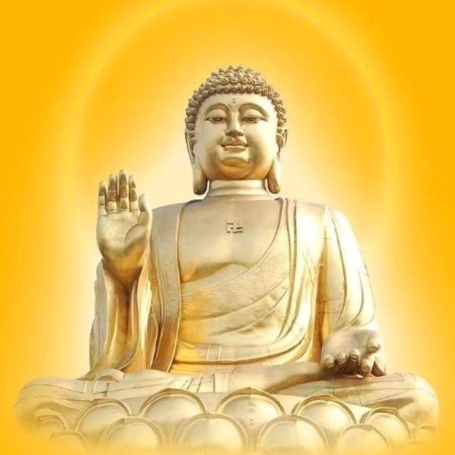 打假联盟