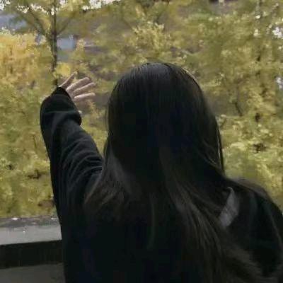 竹风雅梦