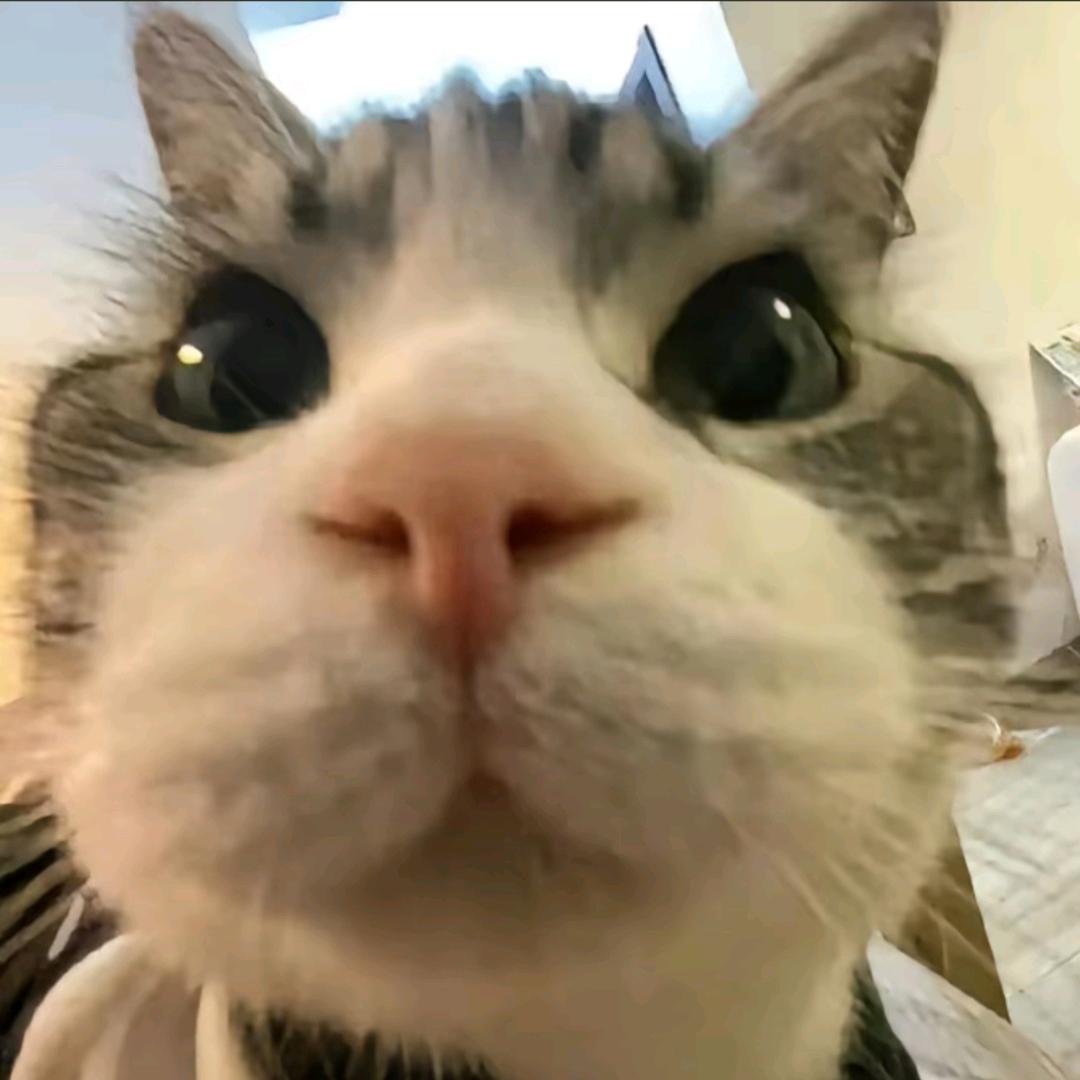 hhh..