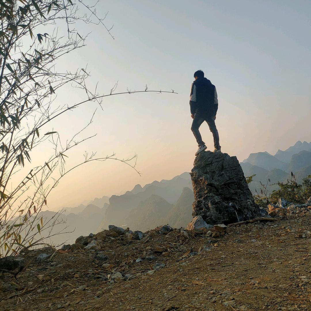 送你一棵小❤❤