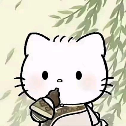 贵州小旺子