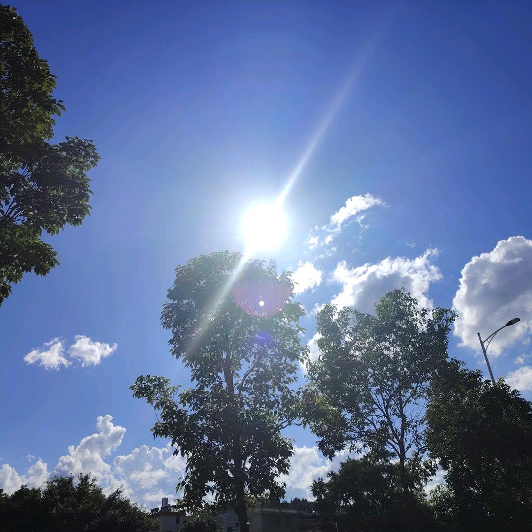 💞꧔ꦿ᭄燕꧔ꦿএ᭄