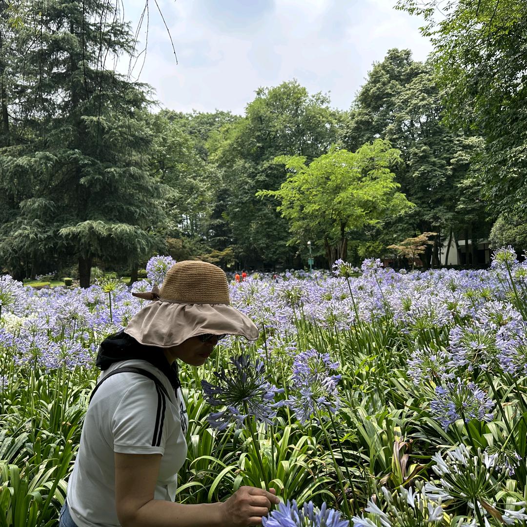 丽姐🍀🌷🍄🌺