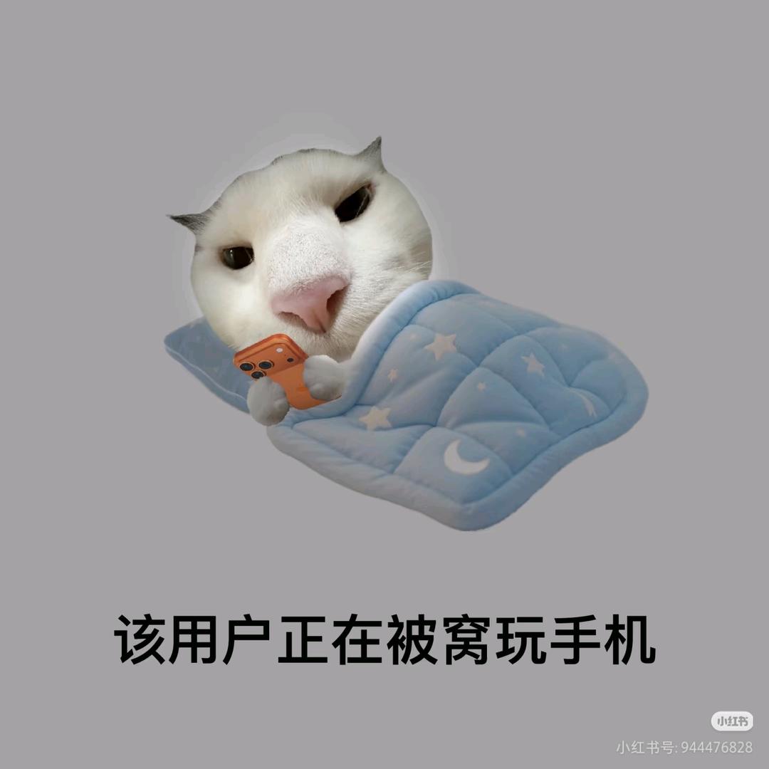 不做沉默的绵羊
