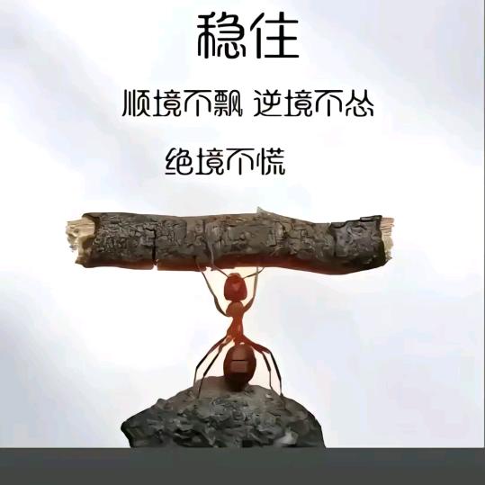 三波头像