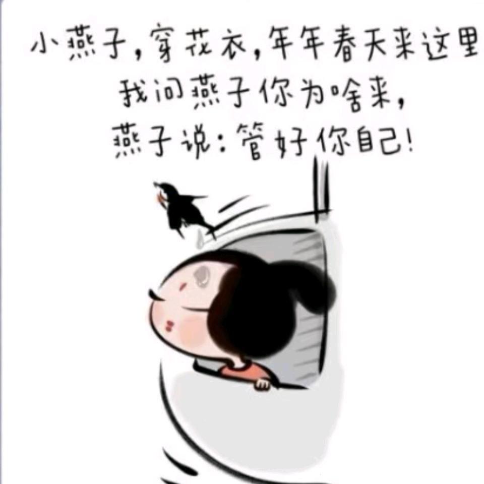 小浪花🌊的花🌸