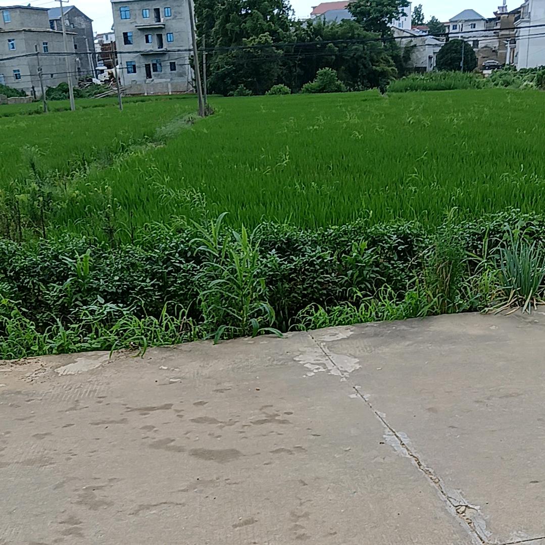 用户27105939