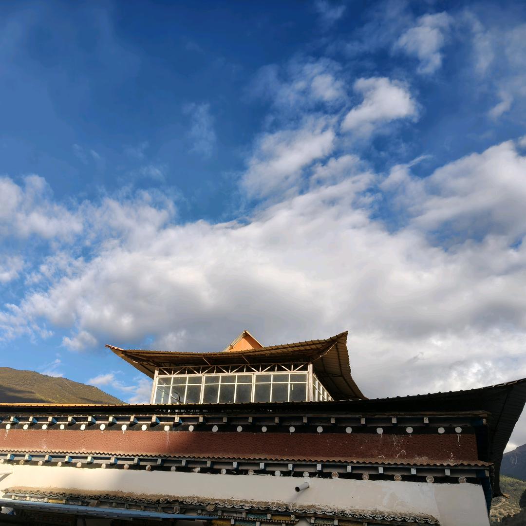 曲女士ℋღ橱窗自用推荐