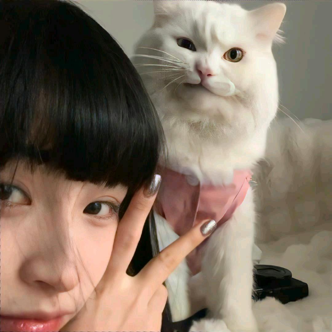 小猫不熬夜.
