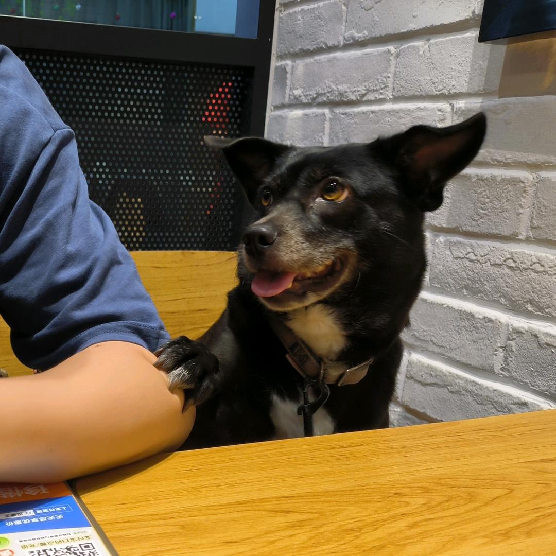 童童妈的烘焙屋