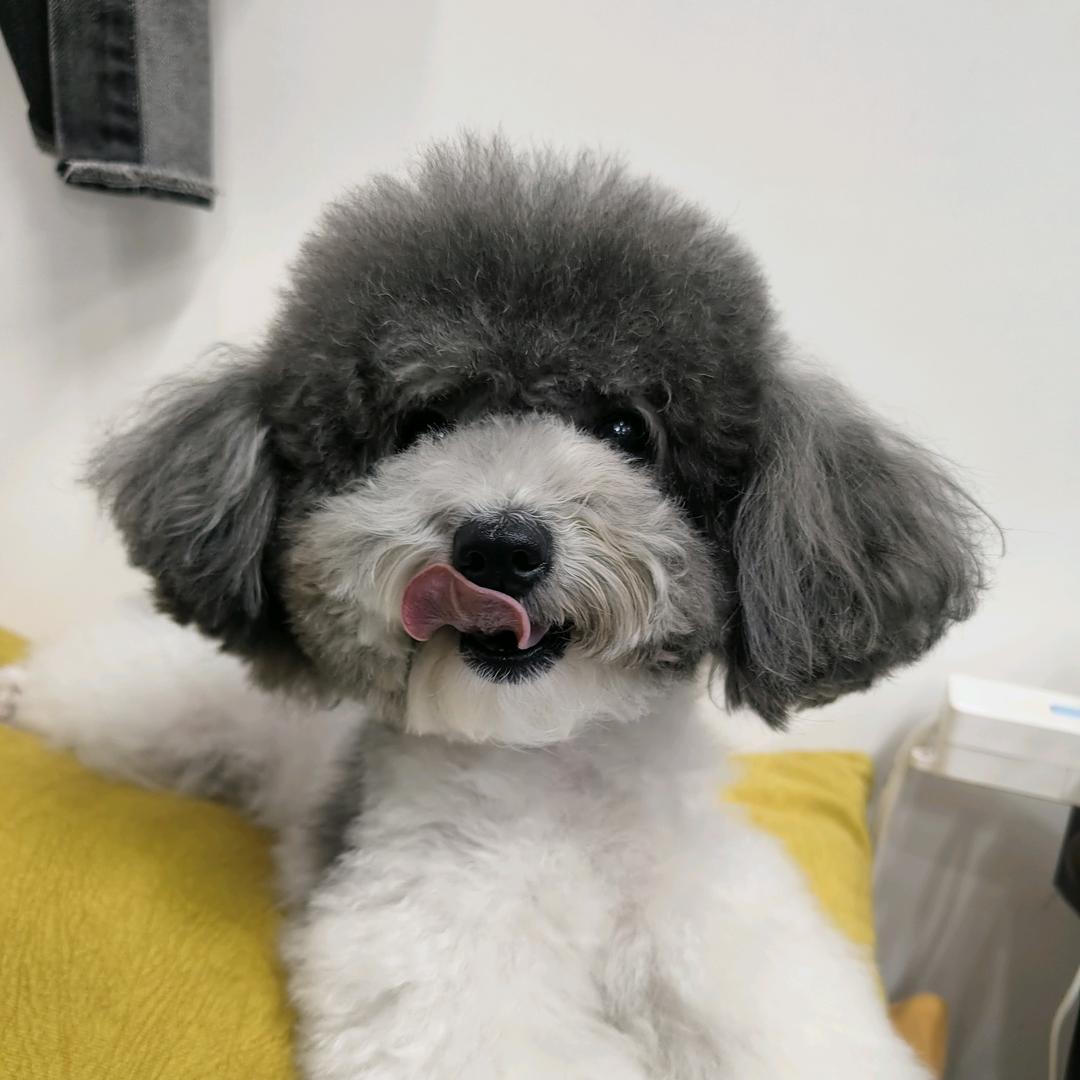 欢喜