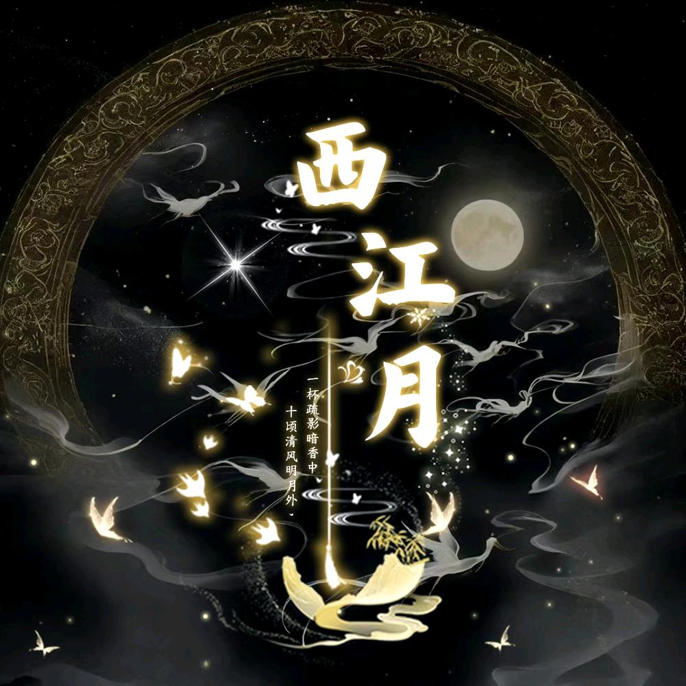 西江月✨