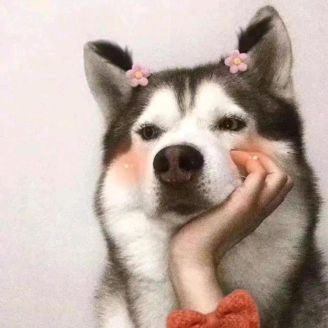 搞笑姐