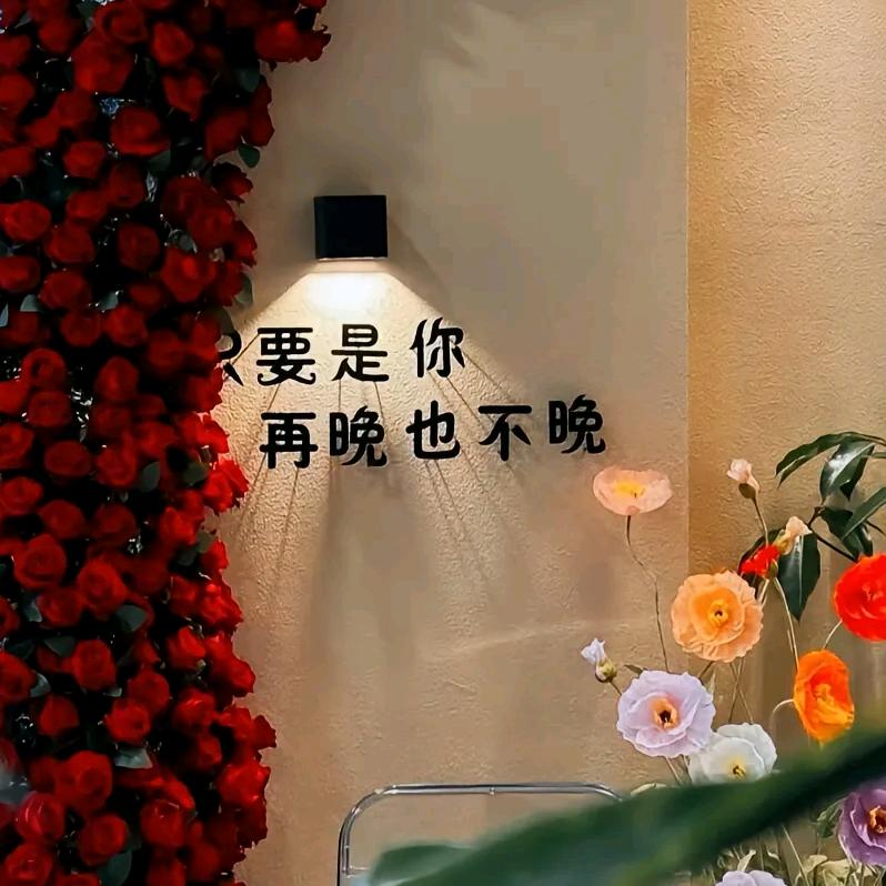 大宝