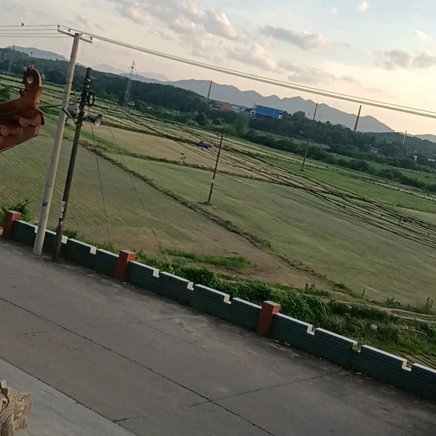 一缕缕的思乡