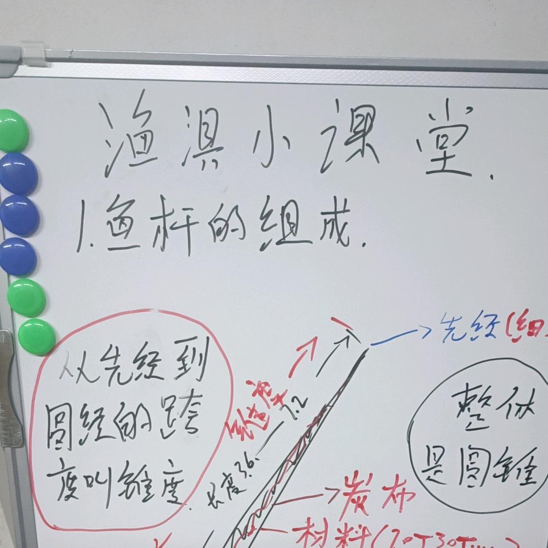 疯狂的白条