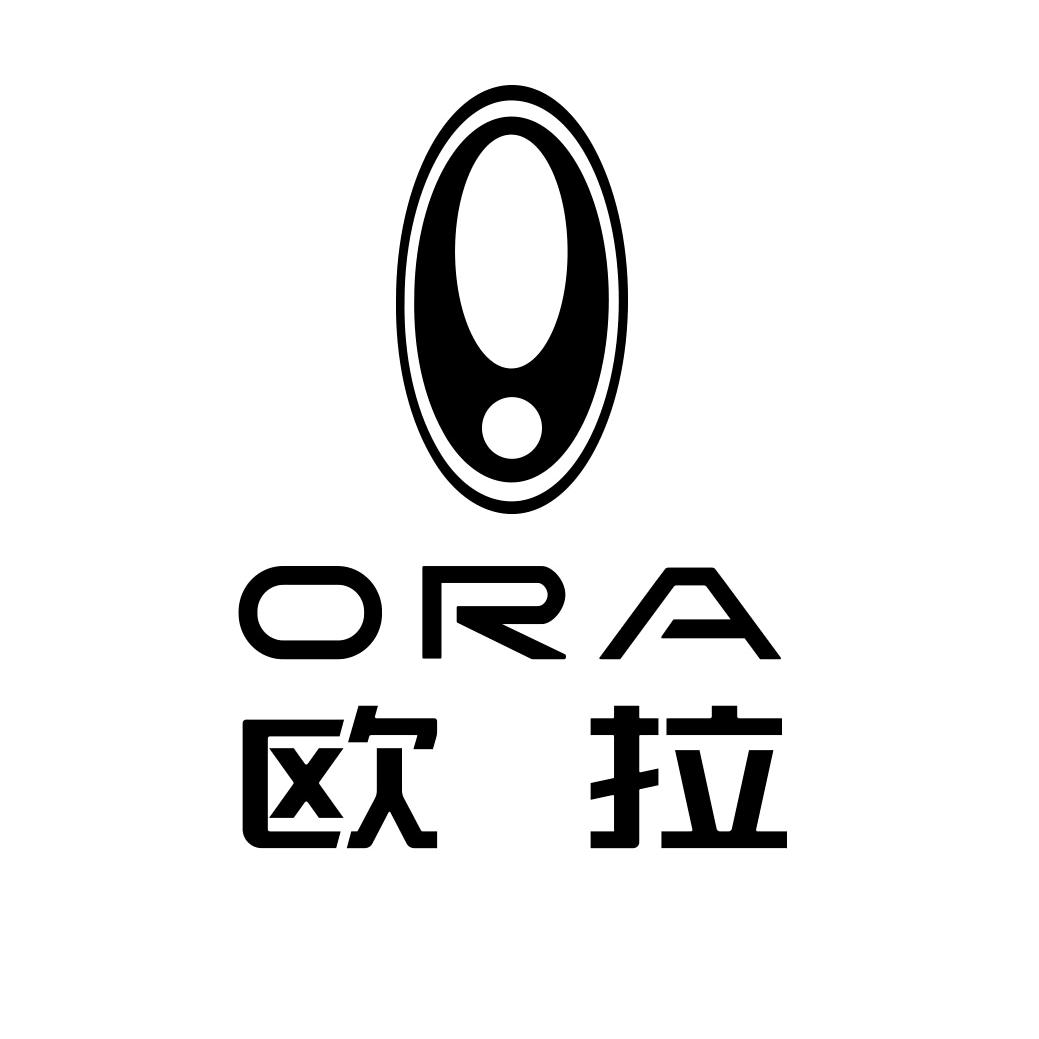 欧拉汽车邯郸悦车宝