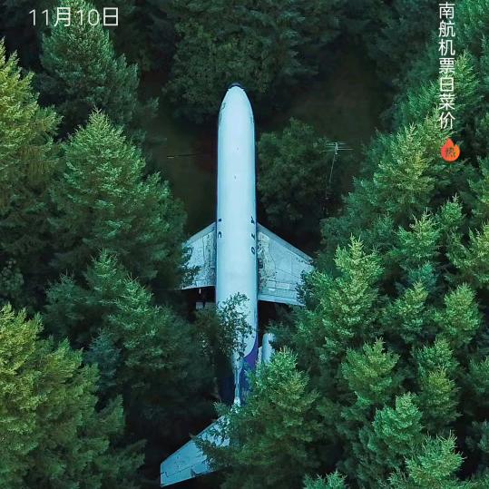 梦想成真