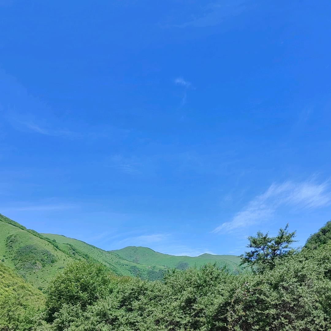 来哥