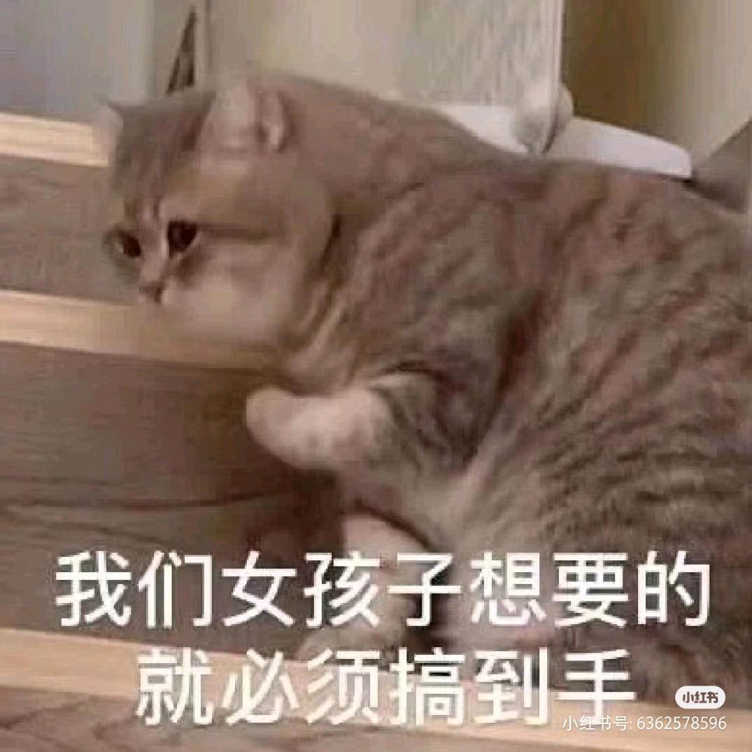 26中医考研打卡倒计时