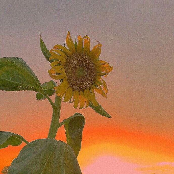 江西人在苏州