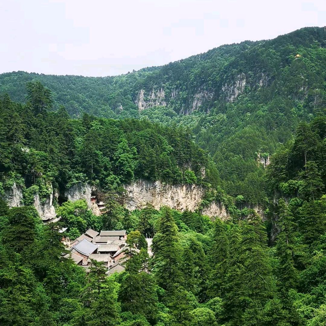 高森林