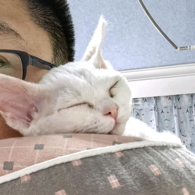 新迪钢琴