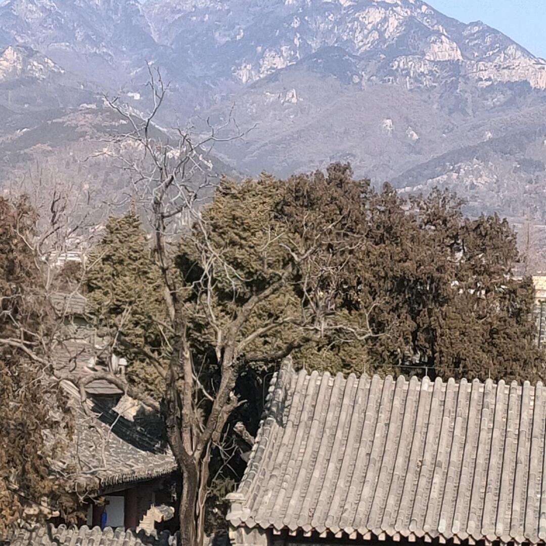 雨华石