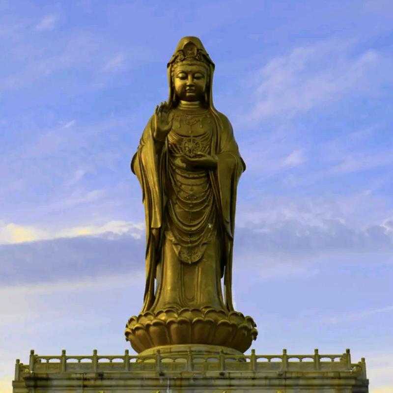 🌳普陀山～南海🌳