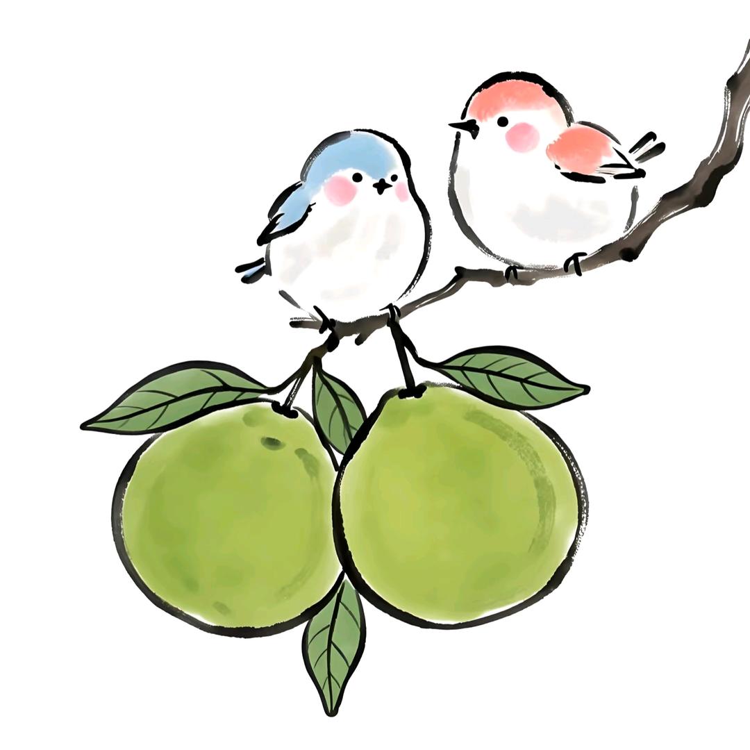 罗小小