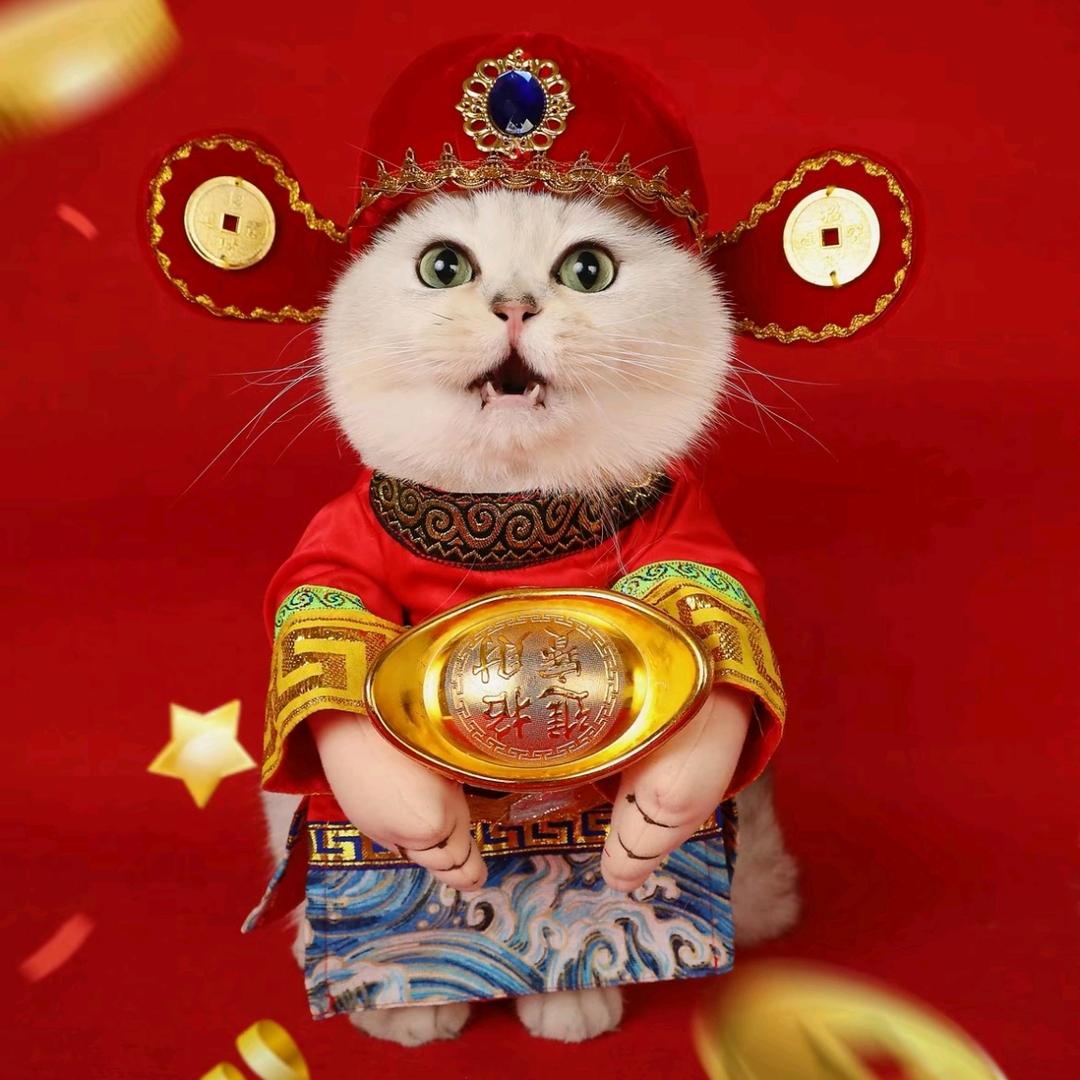 🇨🇳喵大神🐾💕🐾🐱😸😻