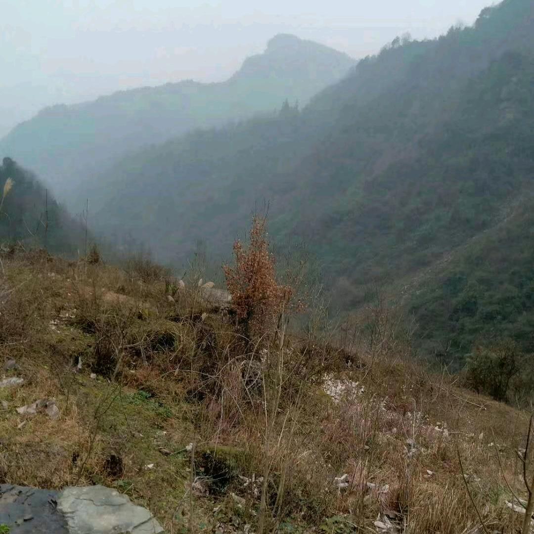 省心情复杂