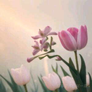 ꧁💗ℒℴѵℯ燕⁵²⁰꧂《拒私聊》