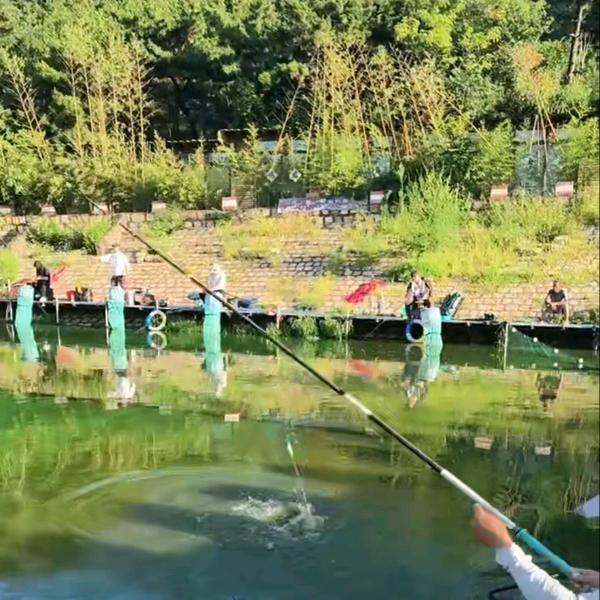 青岛李沧