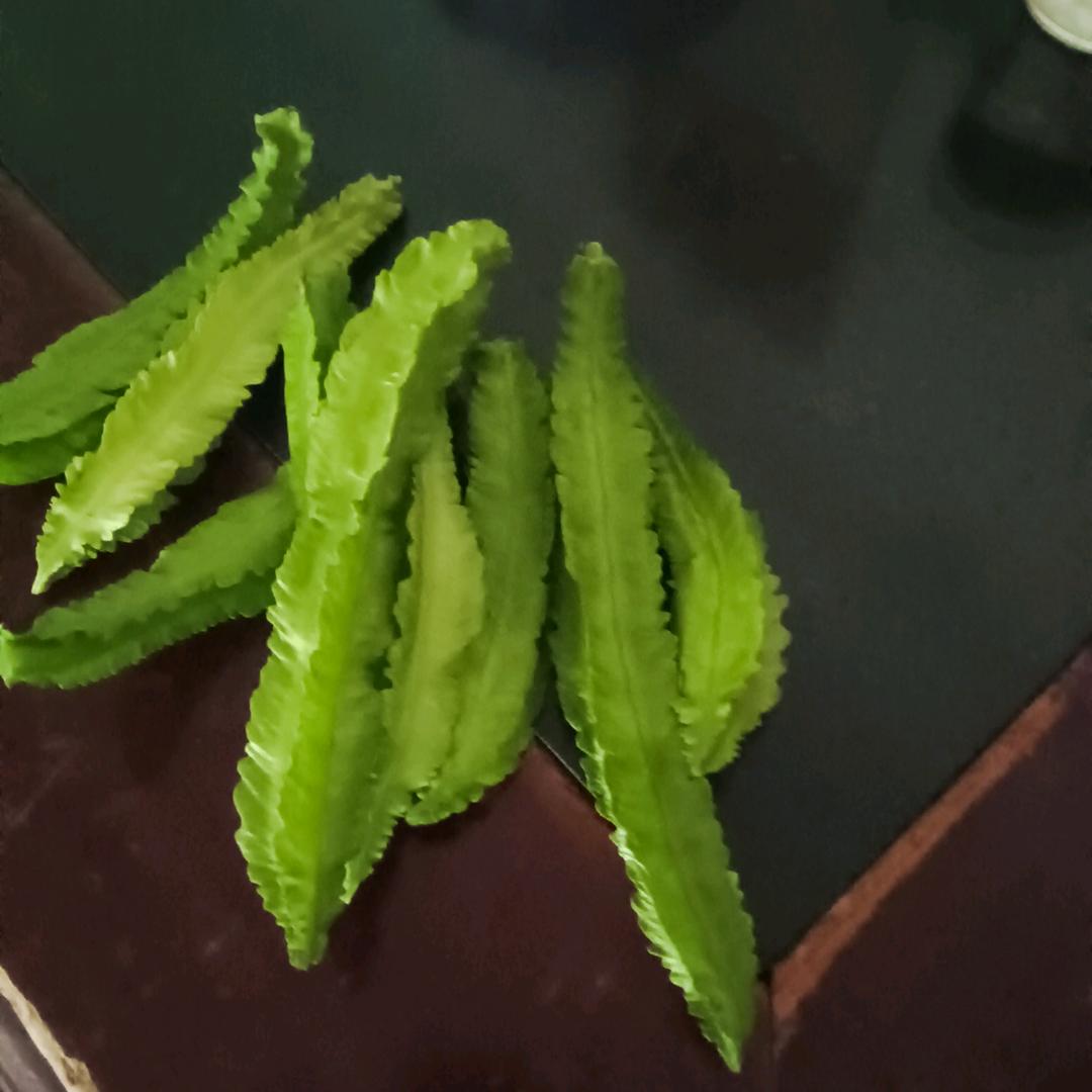 懂你的不需要徘徊解释