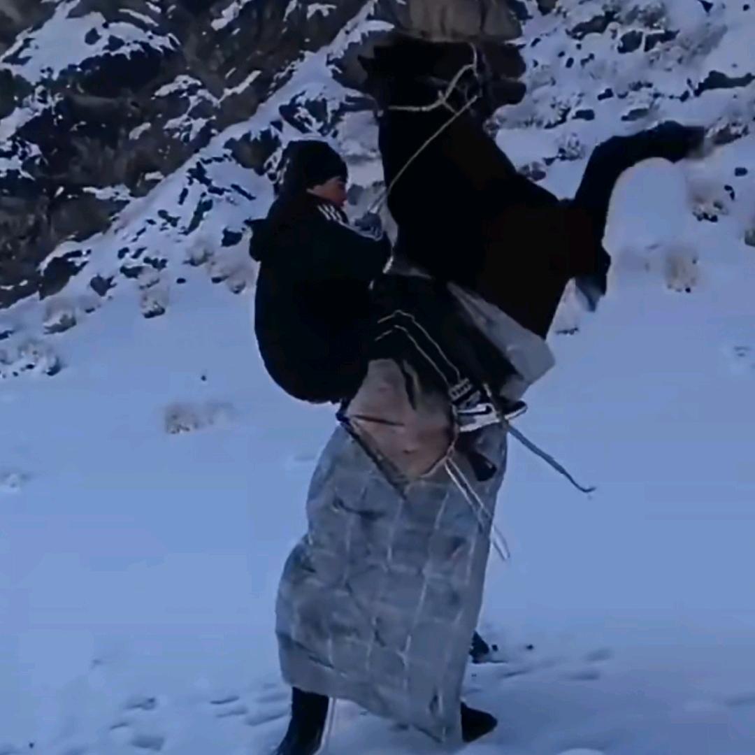 Erpan