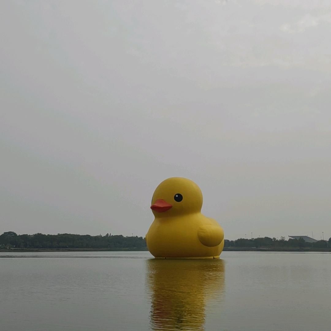 游客
