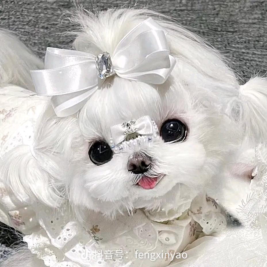 秋天的风，有点冷